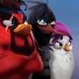 Angry Birds Evolution 2023 (MOD High Damage)