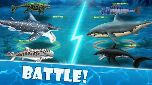 Shark World shark fight