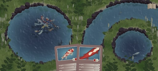 Koi Farm GAMEHAYVL