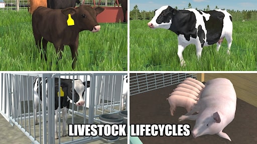American Farming GAMEHAYVL