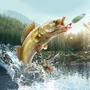 Professional Fishing 2 