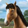 My Horse 