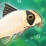Pondlife (Vô Hạn Tiền, Kinh Nghiệm)